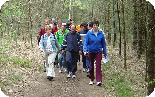 Sportief wandelen in groep